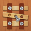 Wood Screw Puzzle