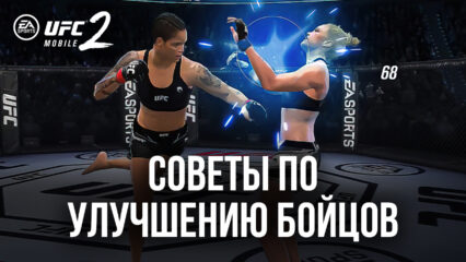 Советы о том, как улучшить команду бойцов в UFC Mobile 2