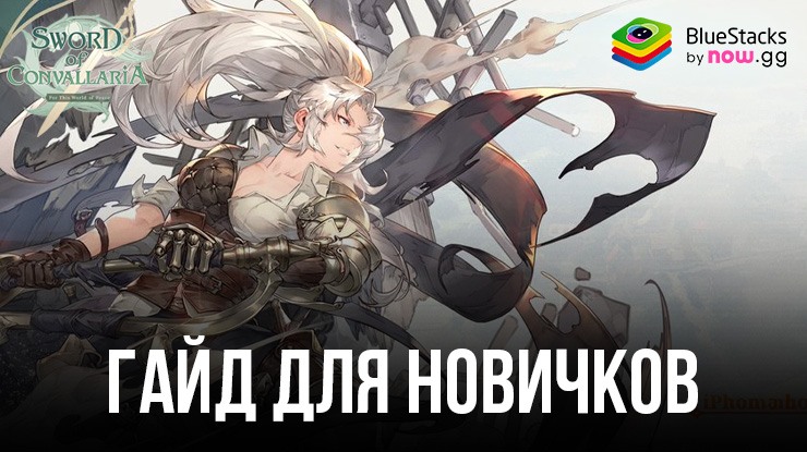 Sword of Convallaria Гайд Для Новичков: Изучите Базовые Механики Геймплея