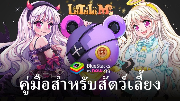 คู่มือสำหรับสัตว์เลี้ยงใน LaTale M