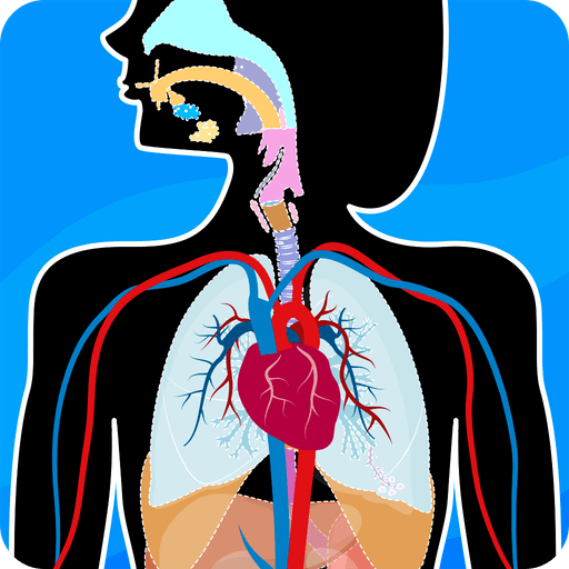 Atlas Anatomía: Cuerpo Humano