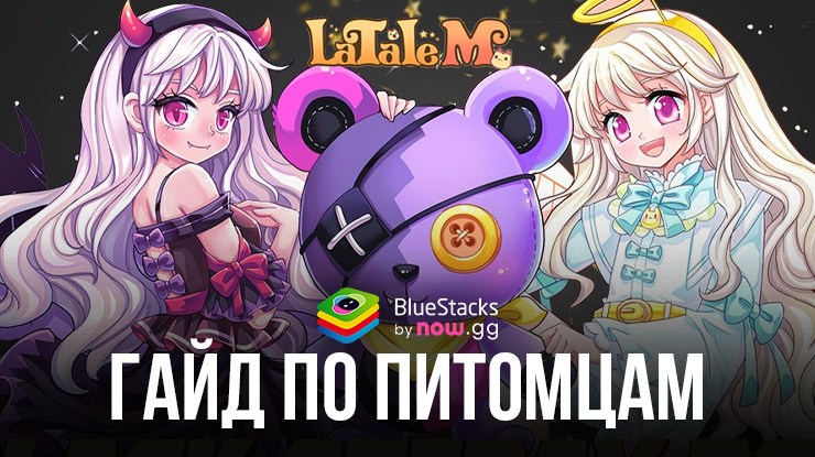 Гайд по Питомцам — Компаньонам в Игре LaTale M