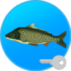 True Fishing (key). Fishing simulator