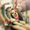 Photo Editor & Photo Collage Maker: Photo Grid
