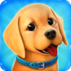 Dog Town: Pet Shop, Care Games