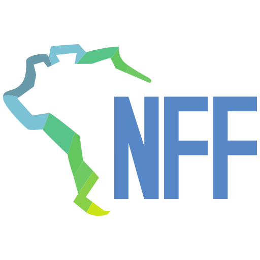 Nota Fiscal Fácil – NFF