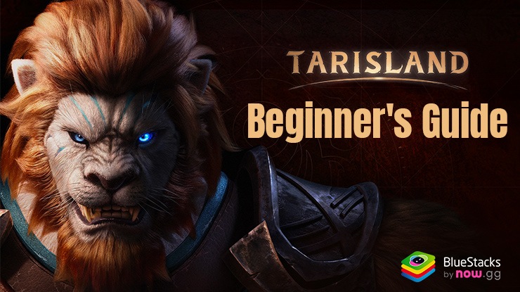 Tarisland Beginner’s Guide to Set You Up for a Great Start