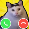 Meme Cat Sim: Cozy Home