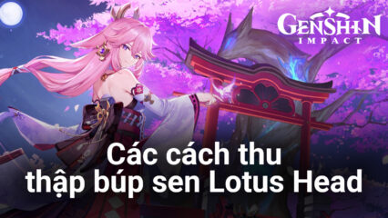 Các cách thu thập Lotus Head trong Genshin Impact