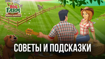 Как построить самую веселую ферму в Big Farm: Mobile Harvest