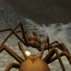 Spider Nest Simulator &#8211; insect
