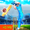 Real World Cricket League 19: Cricket Games