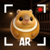 MemeRot AR: Mini Challenge