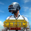 PUBG MOBILE:絕地求生M