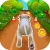 Pet Run - Puppy Dog Game