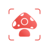 Picture Mushroom - Mushroom ID