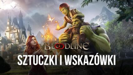 Bloodline: Heroes of Lithas – wskazówki i porady na najlepszy start