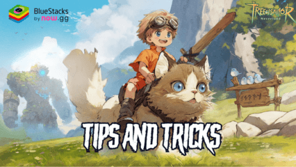 Tree of Savior: Neverland Tips and Tricks to Get Stronger