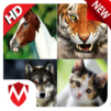 150 Animal Sounds