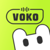 Voko-Voice Chat, Party