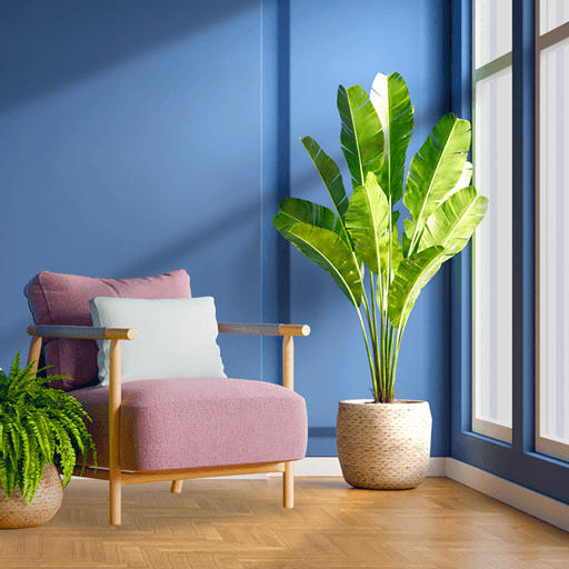 Sweet Home : Design & Blast