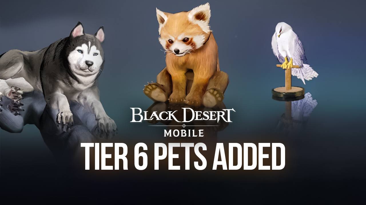 Tier 6 Pets are Now Available in Black Desert Mobile