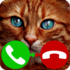 fake call cat game