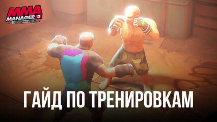 Как тренировать бойцов в MMA Manager 2: Ultimate Fight