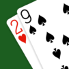 29 Card Game – Expert AI