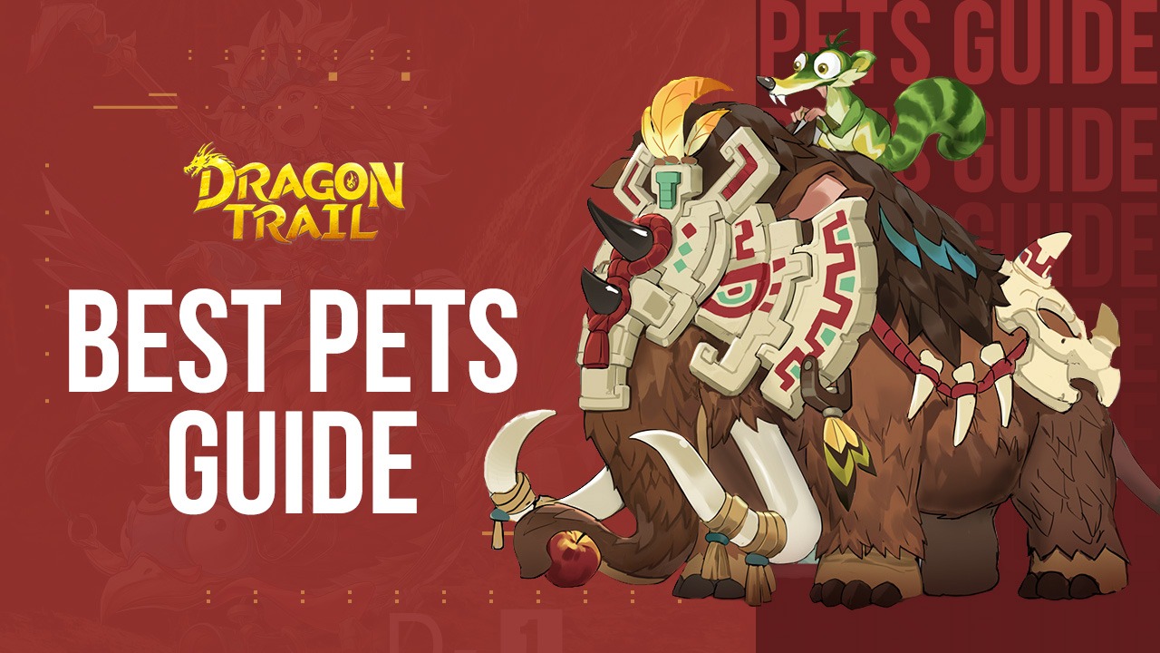 Tank Race Codes for December 2023: Free Pets! - Try Hard Guides