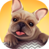Dog Shelter
