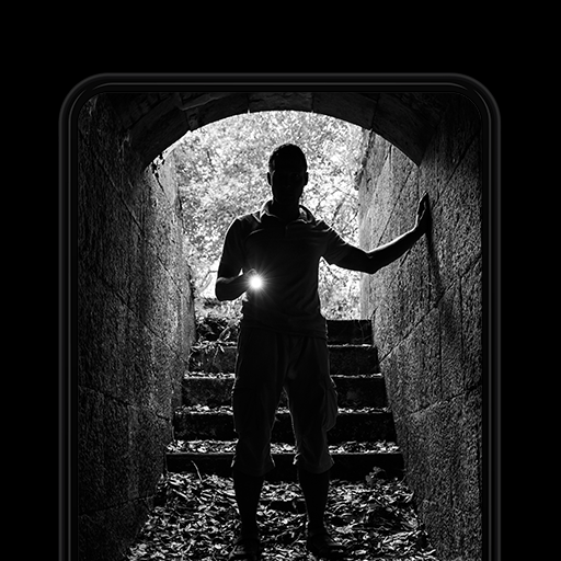 Peek a Phone Detective Game