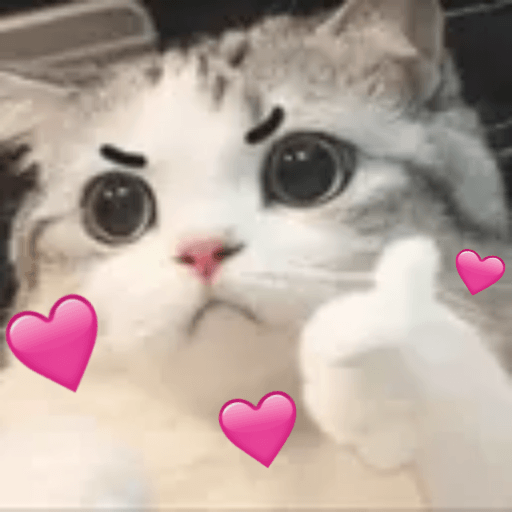 WAStickerApps Stickers Gatos