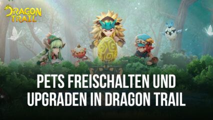 Wie man Pets in Dragon Trail: Hunter World freischaltet und verbessert