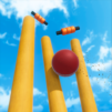 Cricket World – Cricket Game