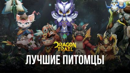 Dragon Trail: Hunter World — Топ лучших питомцев в игре