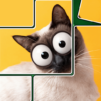 Jigpic Solitaire