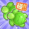 Random Turtle Match Bag