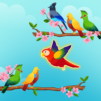 Bird Sort - Color Puzzle