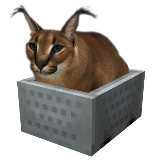 Большой шлёпа