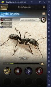 BlueStacks ile The Ants: Underground Kingdom Koloninizi Büyütün