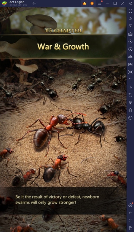 Ameisenlegion - Spezialisierte Ameisen-Tierliste