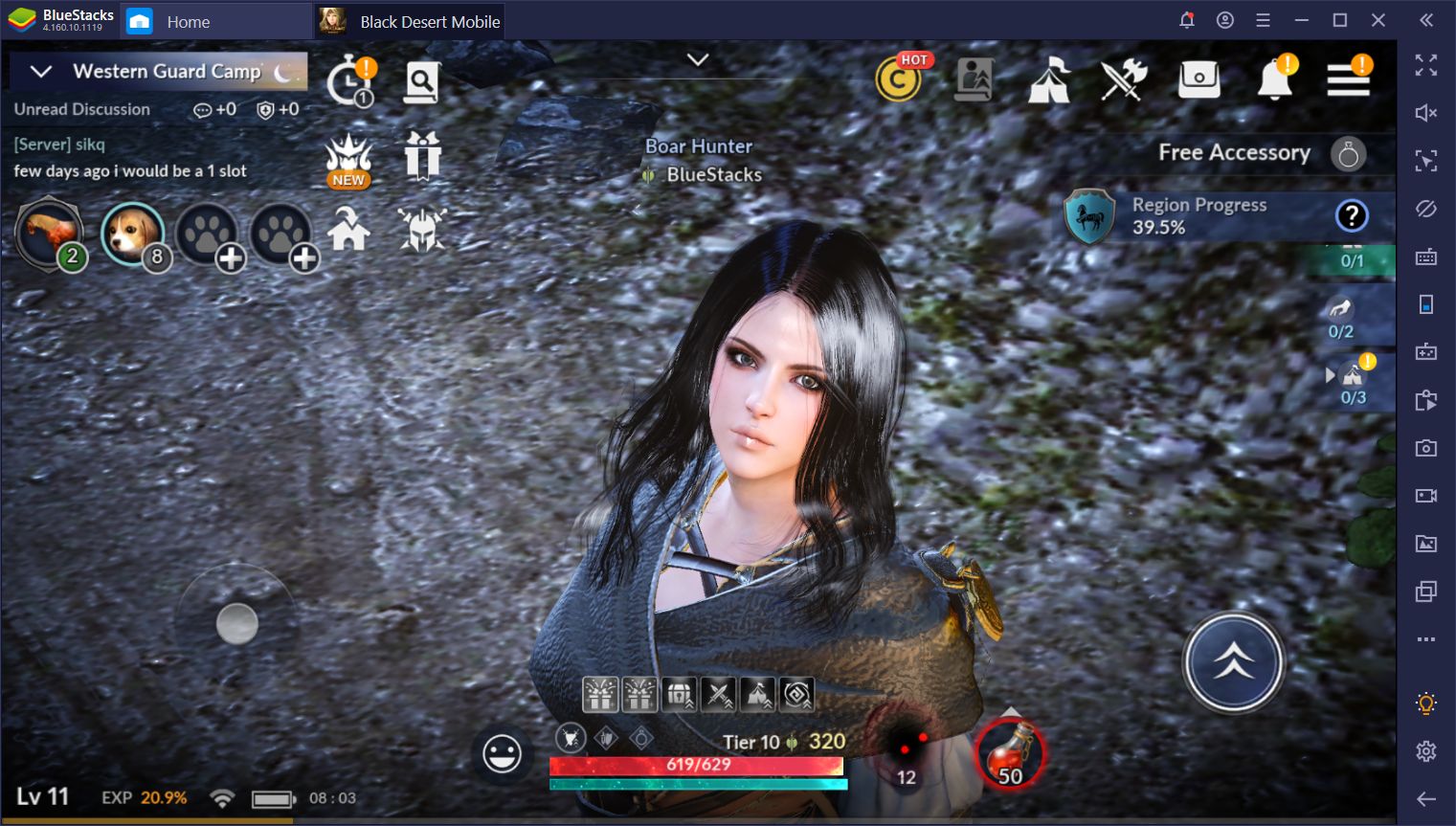 Black desert mobile реликвии