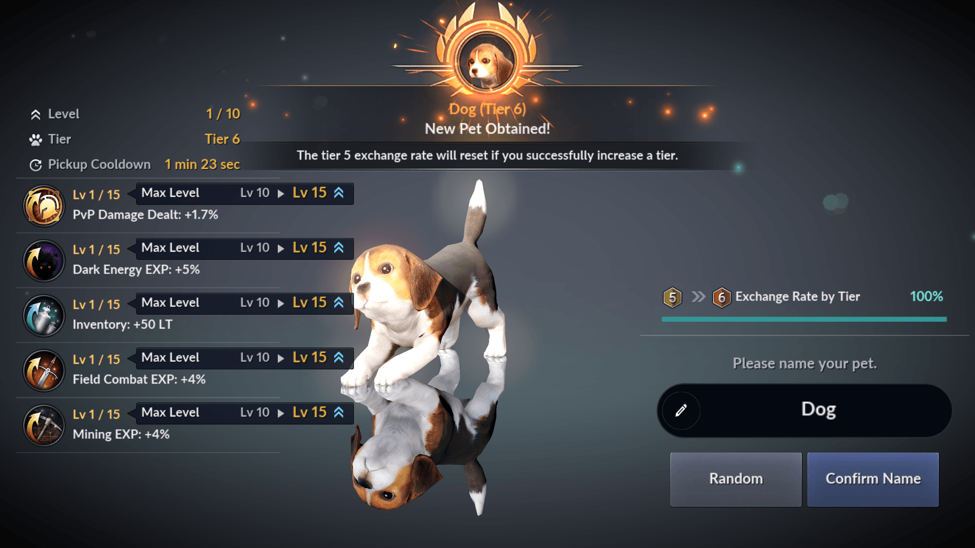 Tier 6 Pets are Now Available in Black Desert Mobile