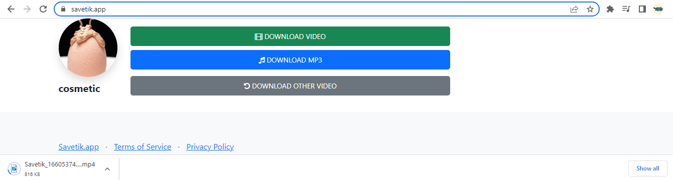 Cara Download Video TikTok Bebas Watermark