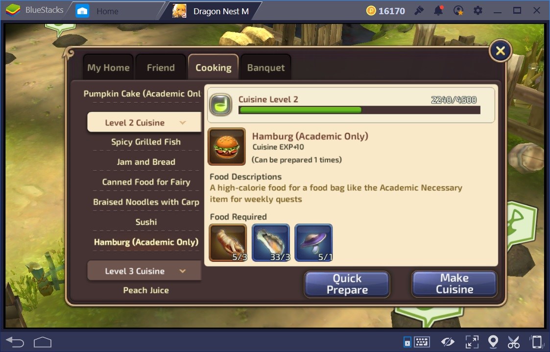 Dragon Nest M Resources Guide