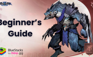 EverChest:15000 Chest Giveaway Beginner’s Guide with Tips and Tricks for New Players