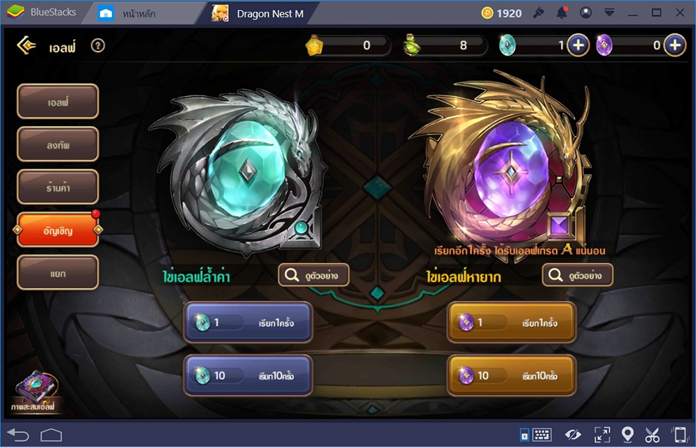 Dragon Nest M: เปิดระบบสัตว์เลี้ยงเอลฟ์ เพิ่มสเตตัสแบบง่ายๆ เพื่อนข้างกายในสนามรบ