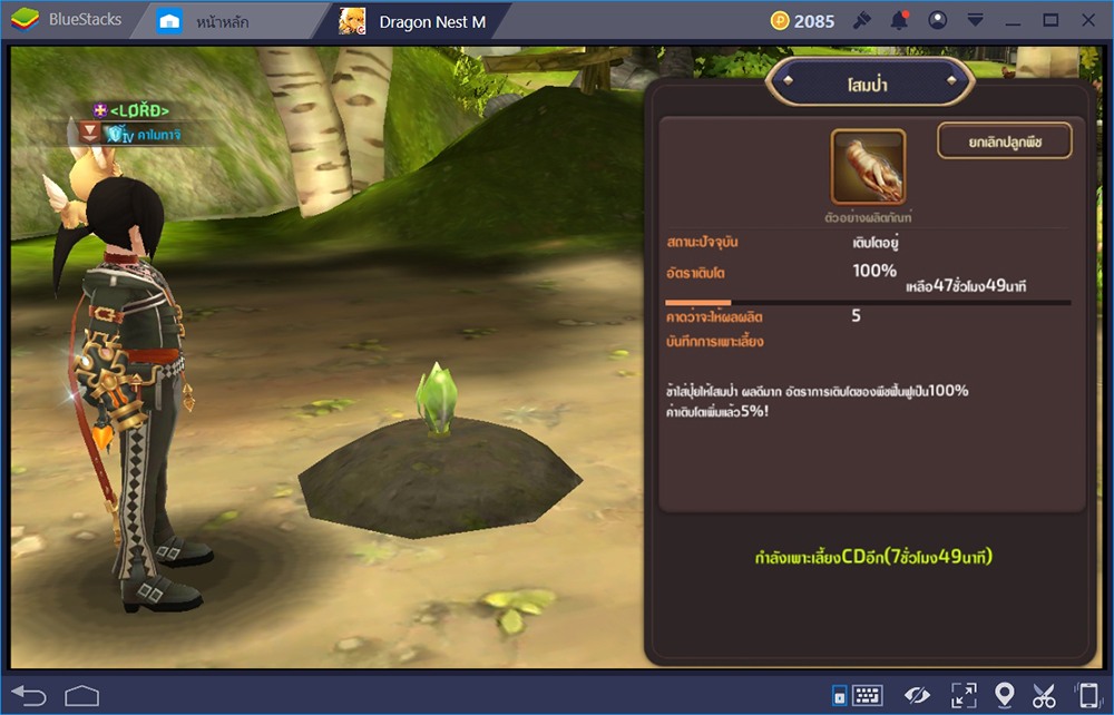 Dragon Nest M ไอเทมเทพ, ไอเทมเซ็ต สร้างได้สร้างง่ายๆด้วยการคราฟ