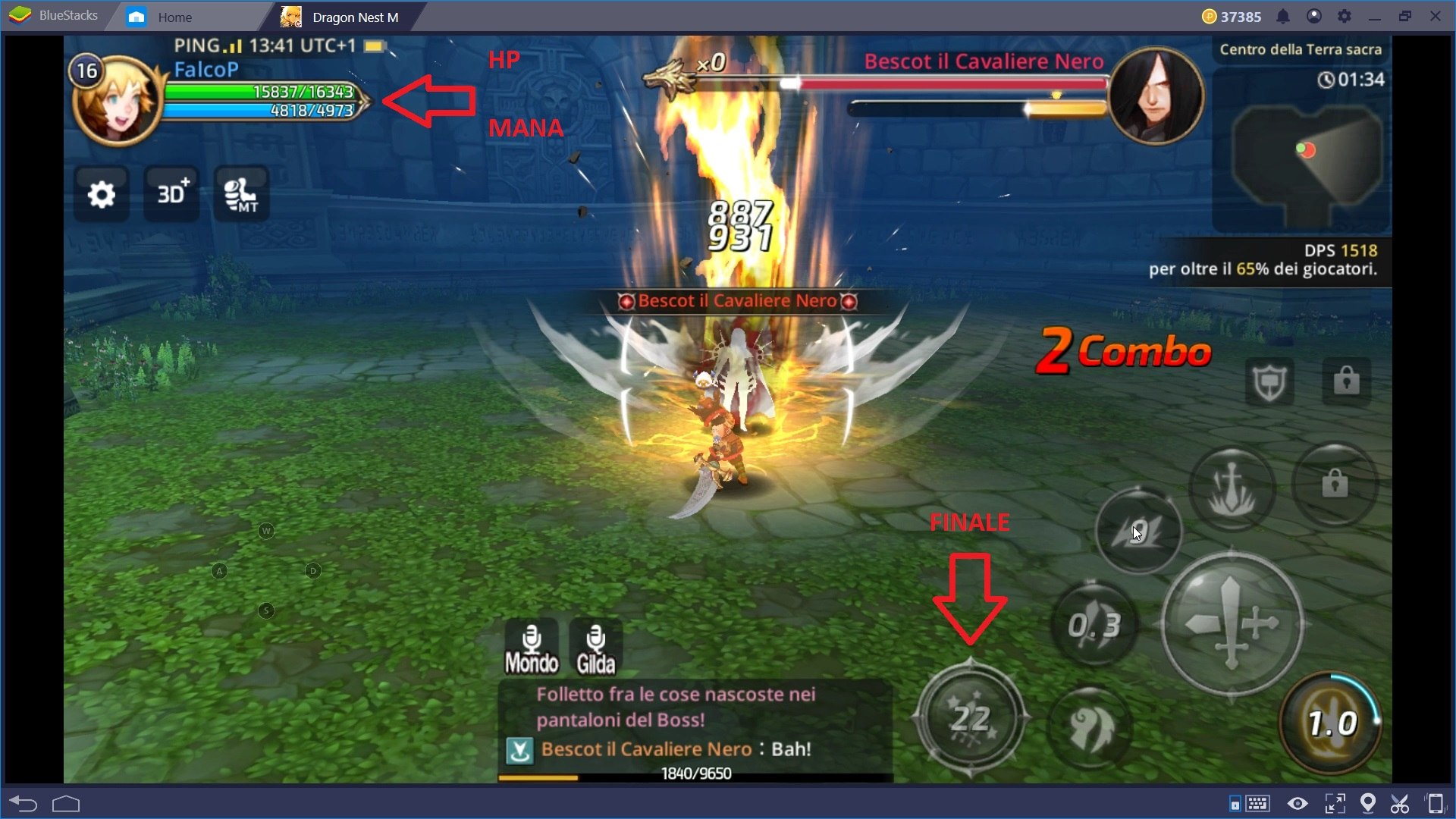 Come gestire al meglio il tuo Eroe in Dragon Nest M